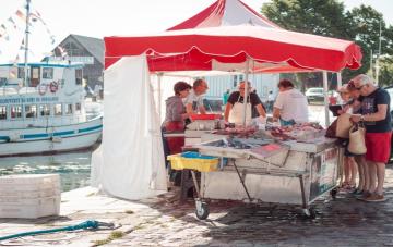 Cruising for Shopaholics: Onboard Boutiques and Port Shopping Guides