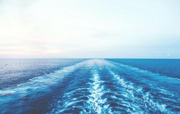 Party Boats - Experience the Ultimate Fun and Excitement on Lively Cruises for Young Adults and Singles!