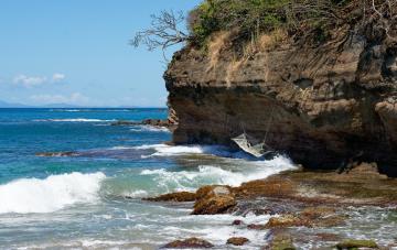 The Ultimate Guide to Wildlife Cruises: Exploring the Wilderness from Alaska to Antarctica