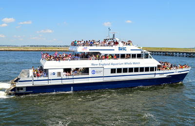 Boston Harbor Cruises